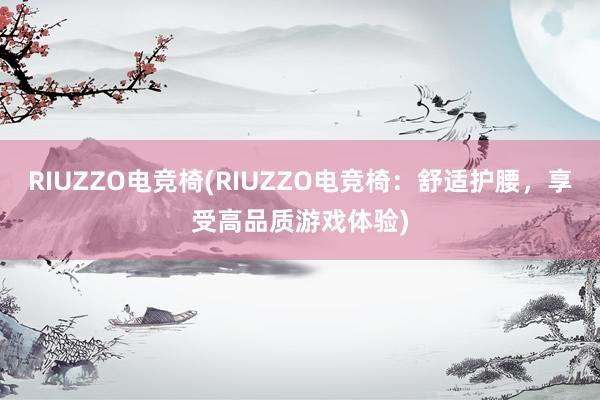 RIUZZO电竞椅(RIUZZO电竞椅：舒适护腰，享受高品质游戏体验)