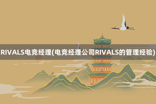 RIVALS电竞经理(电竞经理公司RIVALS的管理经验)