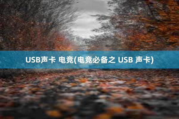 USB声卡 电竞(电竞必备之 USB 声卡)