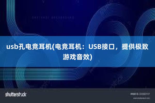 usb孔电竞耳机(电竞耳机：USB接口，提供极致游戏音效)