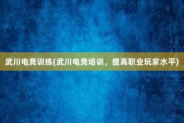 武川电竞训练(武川电竞培训，提高职业玩家水平)