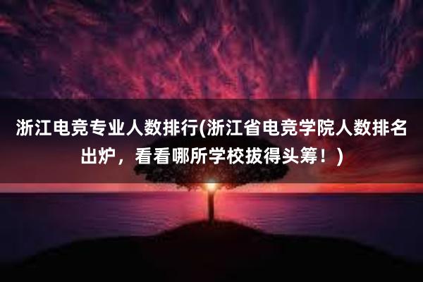 浙江电竞专业人数排行(浙江省电竞学院人数排名出炉，看看哪所学校拔得头筹！)