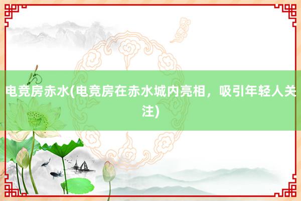 电竞房赤水(电竞房在赤水城内亮相，吸引年轻人关注)