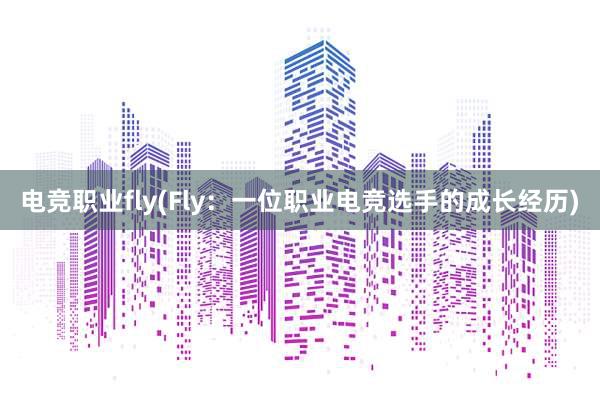 电竞职业fly(Fly：一位职业电竞选手的成长经历)