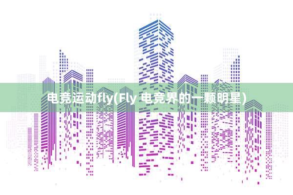 电竞运动fly(Fly 电竞界的一颗明星)