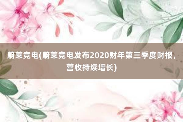 蔚莱竞电(蔚莱竞电发布2020财年第三季度财报，营收持续增长)