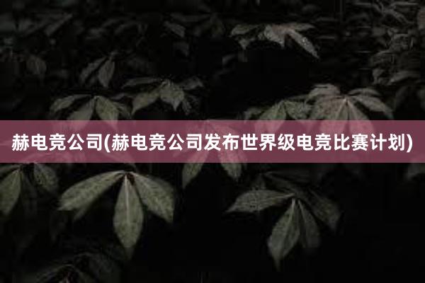 赫电竞公司(赫电竞公司发布世界级电竞比赛计划)