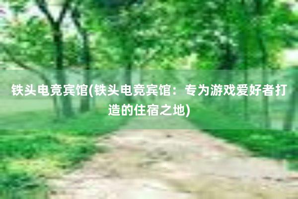 铁头电竞宾馆(铁头电竞宾馆：专为游戏爱好者打造的住宿之地)