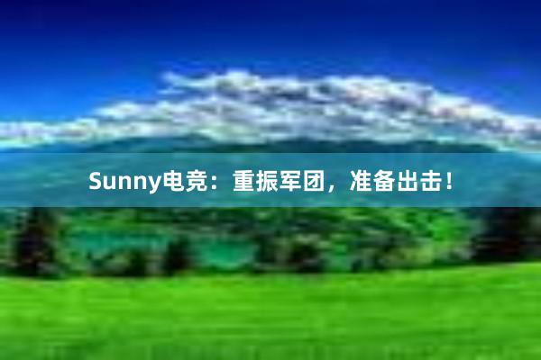 Sunny电竞：重振军团，准备出击！