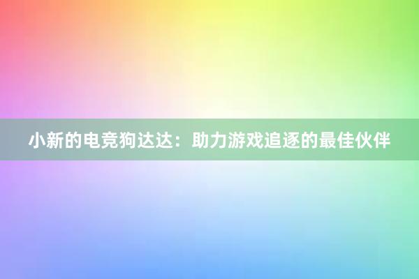 小新的电竞狗达达：助力游戏追逐的最佳伙伴