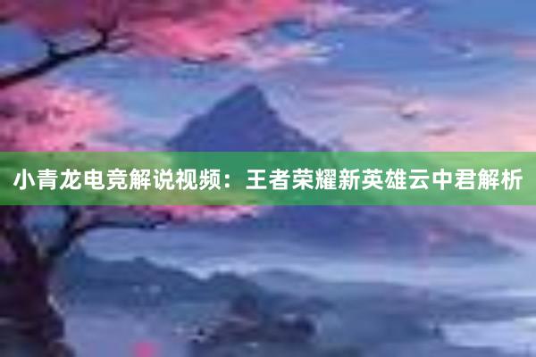 小青龙电竞解说视频：王者荣耀新英雄云中君解析