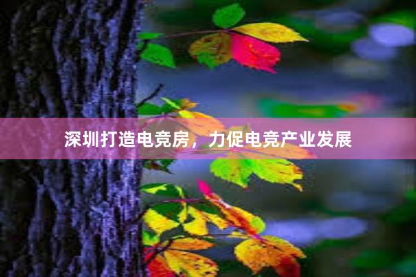 深圳打造电竞房，力促电竞产业发展