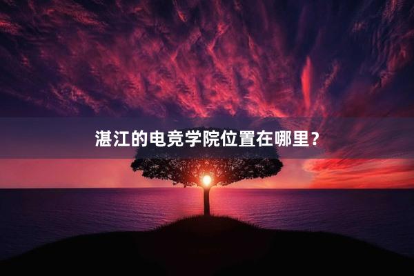 湛江的电竞学院位置在哪里？