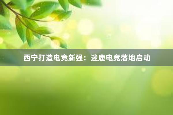 西宁打造电竞新强：迷鹿电竞落地启动